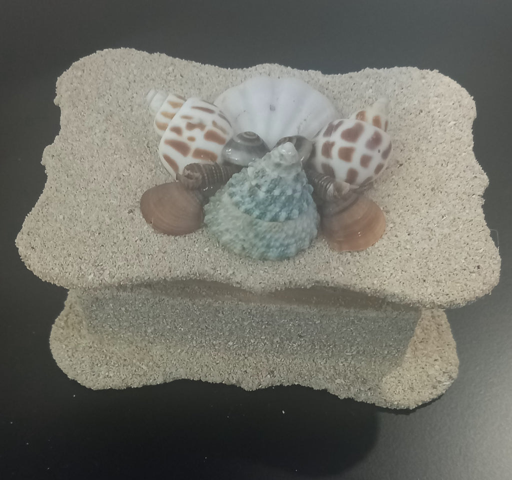 The Beach Treasure Box